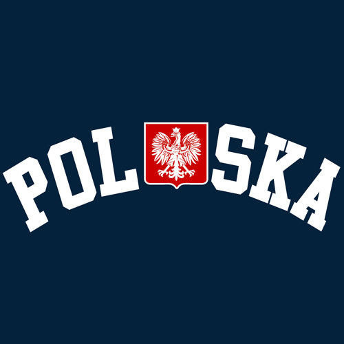t-shirt T045 Polska godło Granatowy
